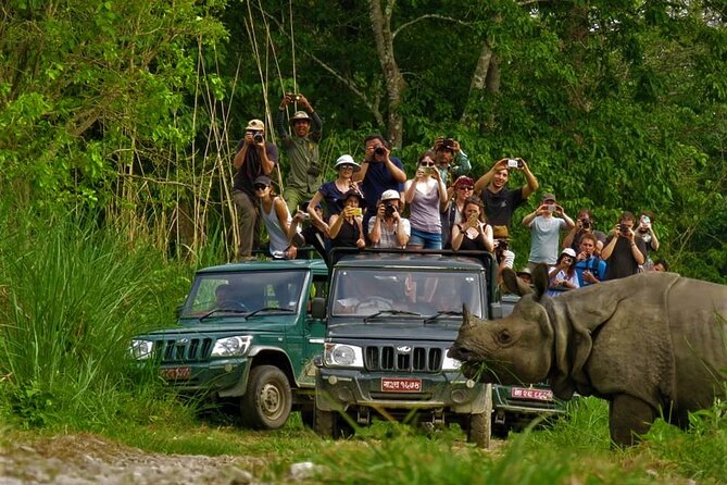 Gorakhpur to Chitwan Taxi Fare