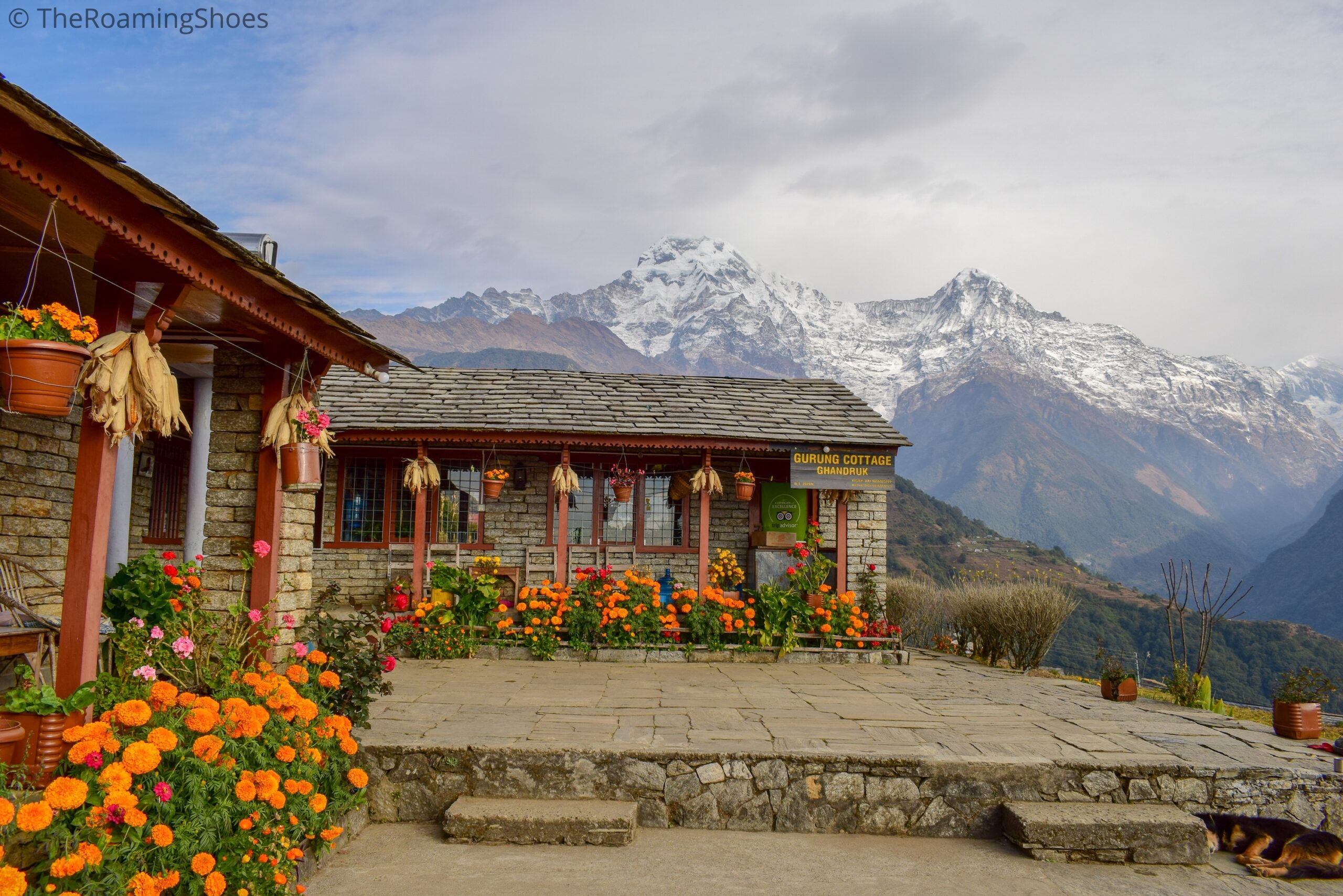 Ghandruk Tour Package from Lucknow & Ayodhya