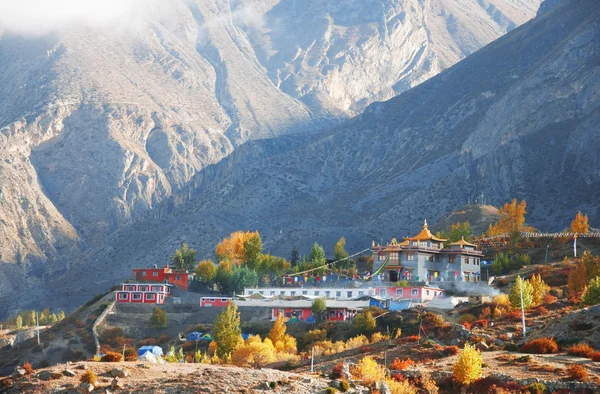 Rishikesh to Muktinath Tour