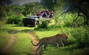 Sunauli border to Chitwan Taxi Fare